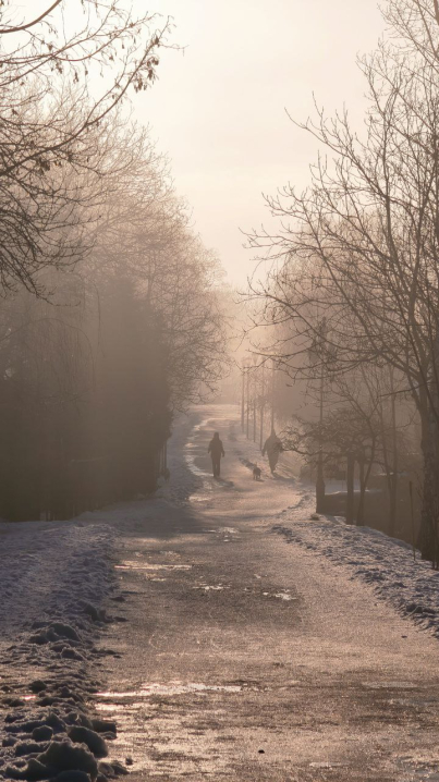 Чернівці вкутані ковдрою туману: неймовірні фото буковинського ранку
