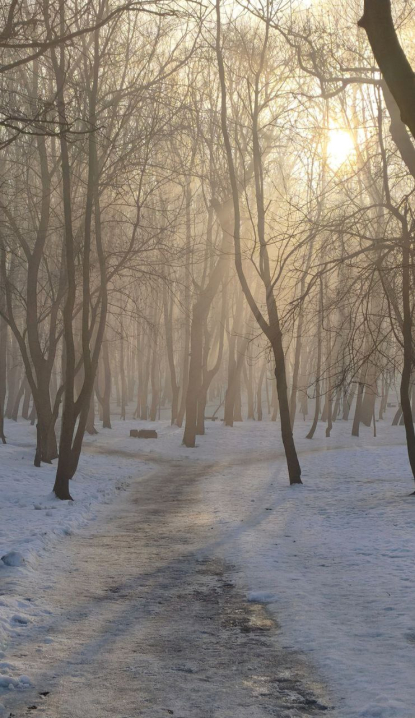 Чернівці вкутані ковдрою туману: неймовірні фото буковинського ранку