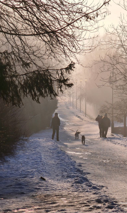 Чернівці вкутані ковдрою туману: неймовірні фото буковинського ранку