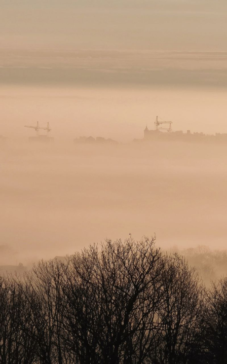Чернівці вкутані ковдрою туману: неймовірні фото буковинського ранку