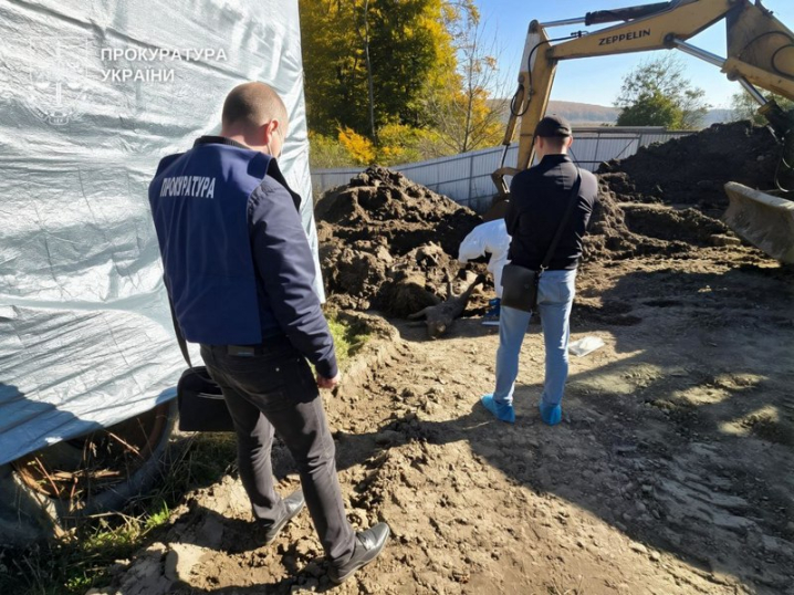 На Буковині депутат намагався приховати спалах африканської чуми на власній фермі