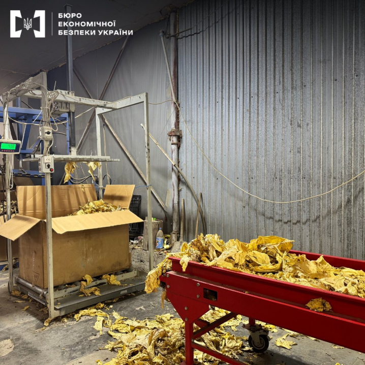 На Буковині судитимуть керівника агропідприємства за нелегальне виробництво тютюну на 30 млн грн На Буковині судитимуть керівника агропідприємства за нелегальне виробництво тютюну на 30 млн грн