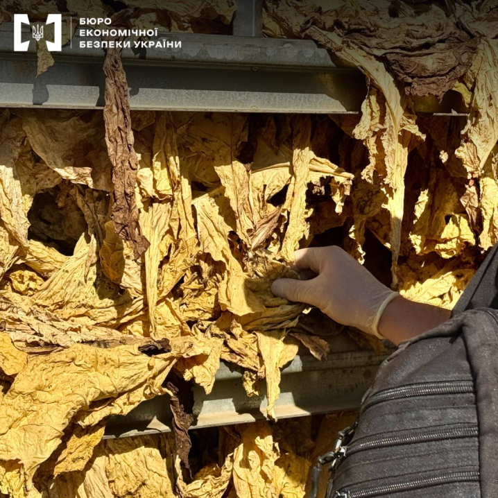 На Буковині судитимуть керівника агропідприємства за нелегальне виробництво тютюну на 30 млн грн На Буковині судитимуть керівника агропідприємства за нелегальне виробництво тютюну на 30 млн грн