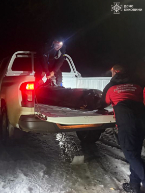 У Красноїльську в лісі знайшли мертвим молодика