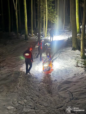 У Красноїльську в лісі знайшли мертвим молодика