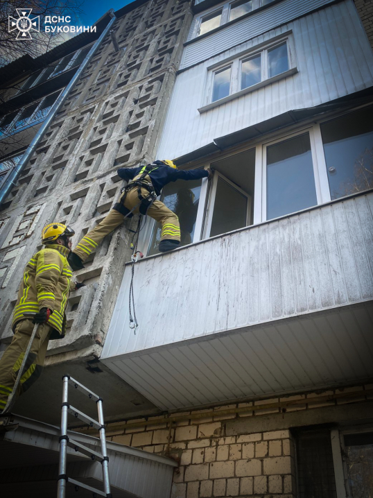 У селі Дяківці на Буковині згоріло 2,5 гектари сухої трави