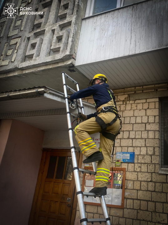 У селі Дяківці на Буковині згоріло 2,5 гектари сухої трави