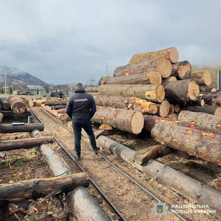 На Буковині майстра лісу звинувачують у незаконній порубці дерев на 27 мільйонів гривень