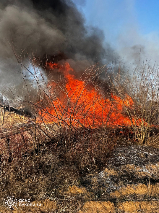 Вогнем знищено понад 12 гектар землі. На Буковині палають пожежі на відкритій території