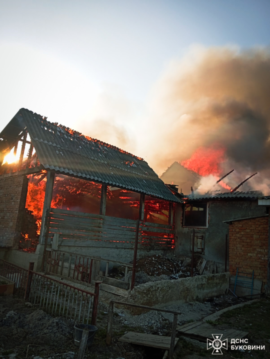 У селі Кам'яна у масштабній пожежі згоріли господарські будівлі