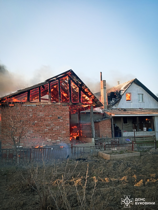 У селі Кам'яна у масштабній пожежі згоріли господарські будівлі