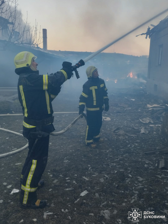 У селі Кам'яна у масштабній пожежі згоріли господарські будівлі