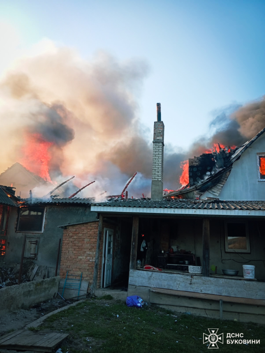 У селі Кам'яна у масштабній пожежі згоріли господарські будівлі
