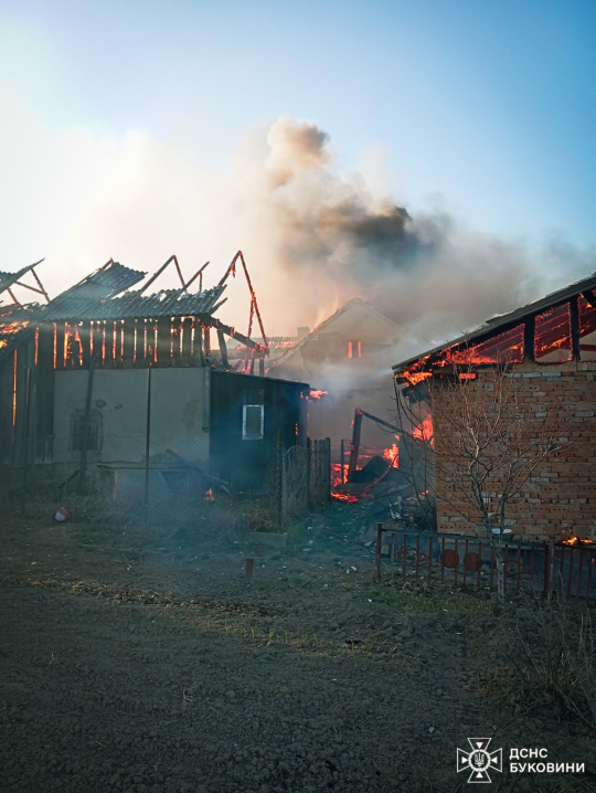 У селі Кам'яна у масштабній пожежі згоріли господарські будівлі