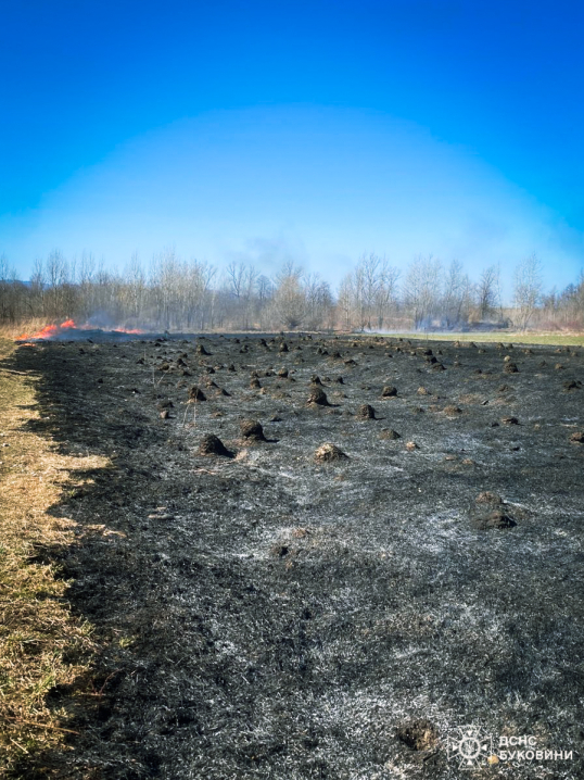 На Буковині вогонь знищив понад 5 гектарів землі