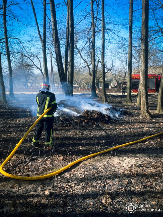 На Буковині вогонь знищив понад 5 гектарів землі