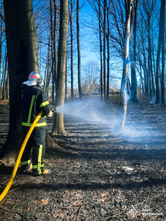На Буковині вогонь знищив понад 5 гектарів землі