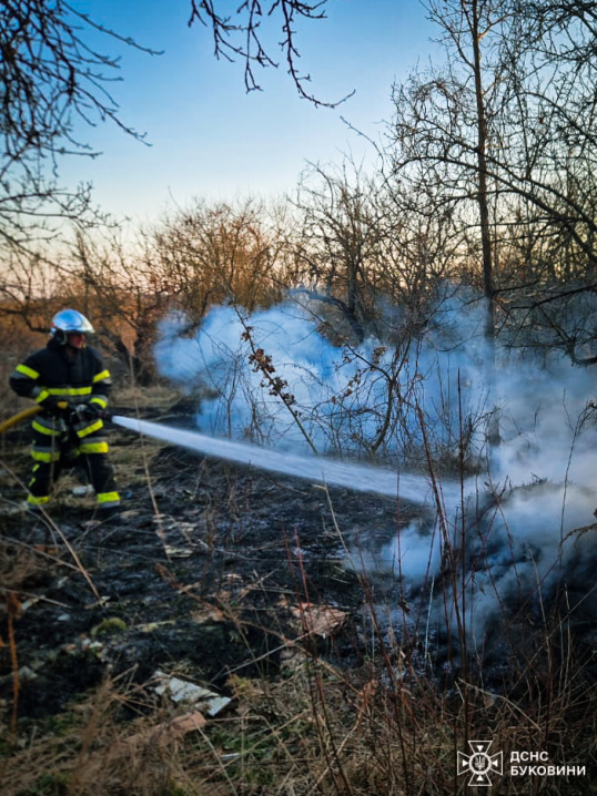 На Буковині вогонь знищив понад 5 гектарів землі