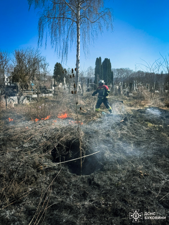 На Буковині вогонь знищив понад 5 гектарів землі