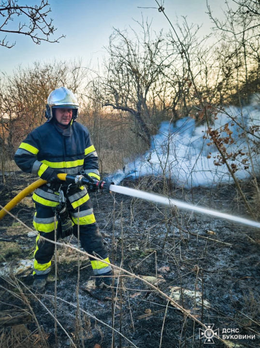 На Буковині вогонь знищив понад 5 гектарів землі