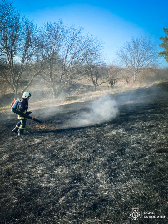 На Буковині вогонь знищив понад 5 гектарів землі
