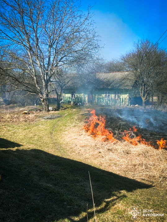 На Буковині вогонь знищив понад 5 гектарів землі