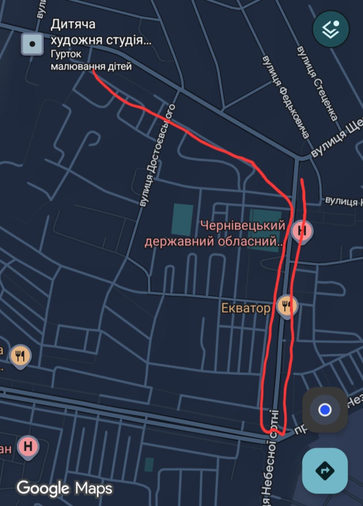 «Дивом врятували»: у Чернівцях повідомляють про випадки отруєння собак у одному з районів