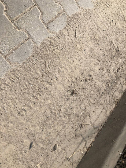 Після зими у Чернівцях тротуари та узбіччя в піску: містяни скаржаться на пилові бурі