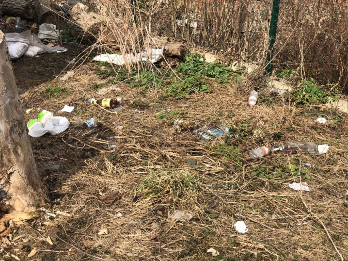 Чернівці тонуть у смітті: двори і міжбудинкові проїзди на Проспекті і Небесної сотні не прибирають