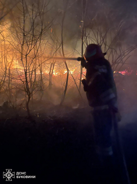 Понад 4 гектари випаленої землі. На Буковині сталося 7 пожеж
