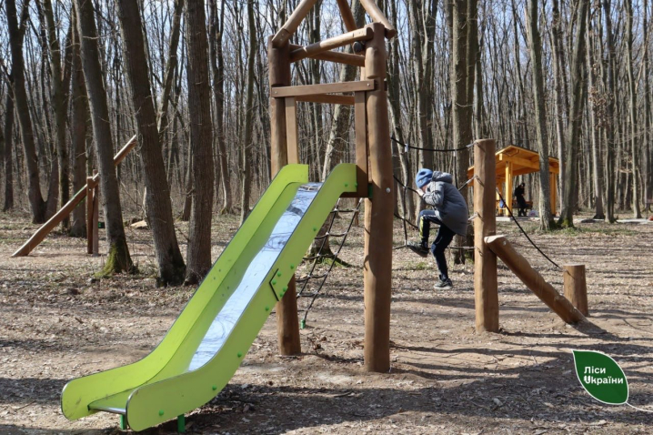 У лісах Буковини облаштували три нові зони відпочинку У лісах Буковини облаштували три нові зони відпочинку