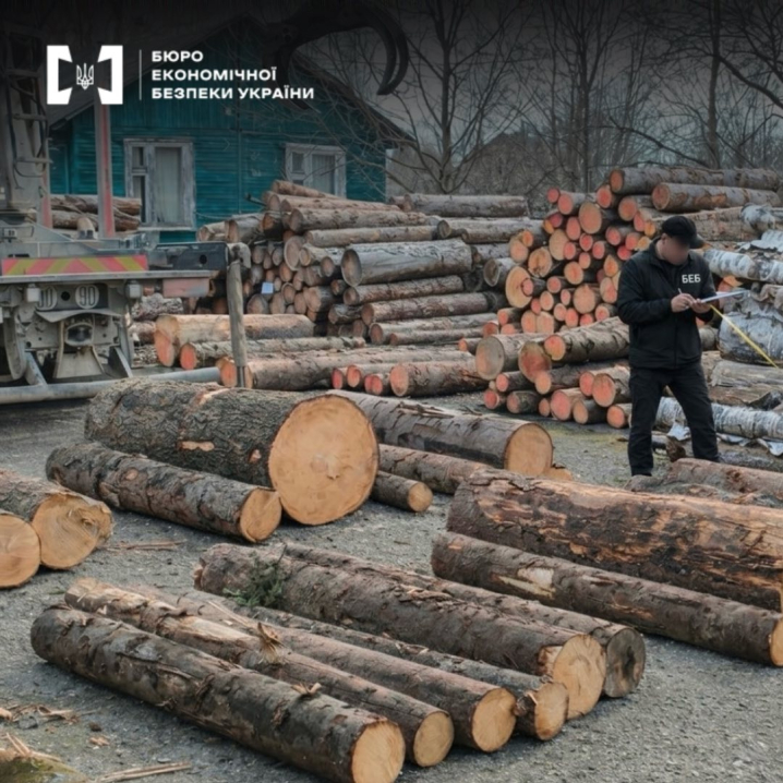 Вивозив ліс незаконно: на Буковині судитимуть підприємця