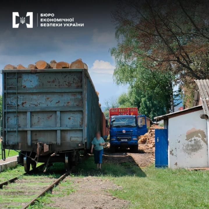 Вивозив ліс незаконно: на Буковині судитимуть підприємця