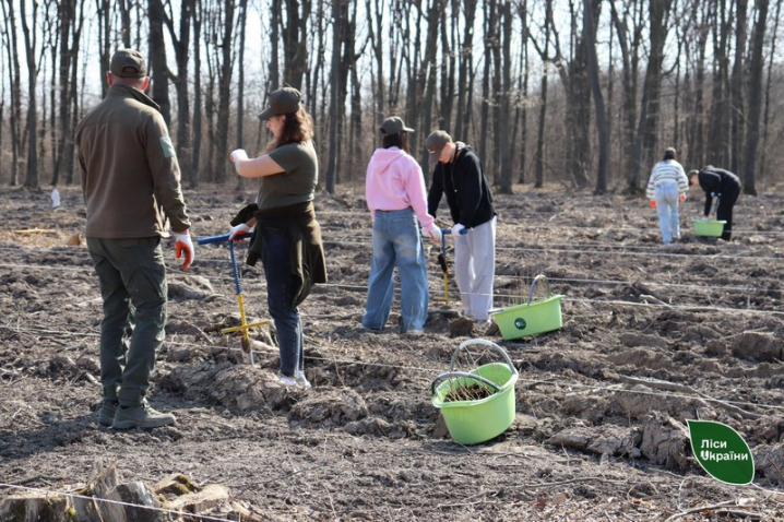 На Буковині весною планують висадити понад 900 тисяч дерев На Буковині весною планують висадити понад 900 тисяч дерев
