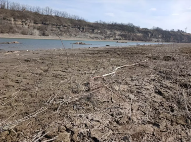 Дністер на Буковині аномально змілів: русло вдвічі зменшилося