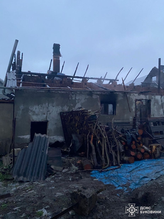 У Чернівцях через загорання електропроводів спалахнуло гніздо лелеки