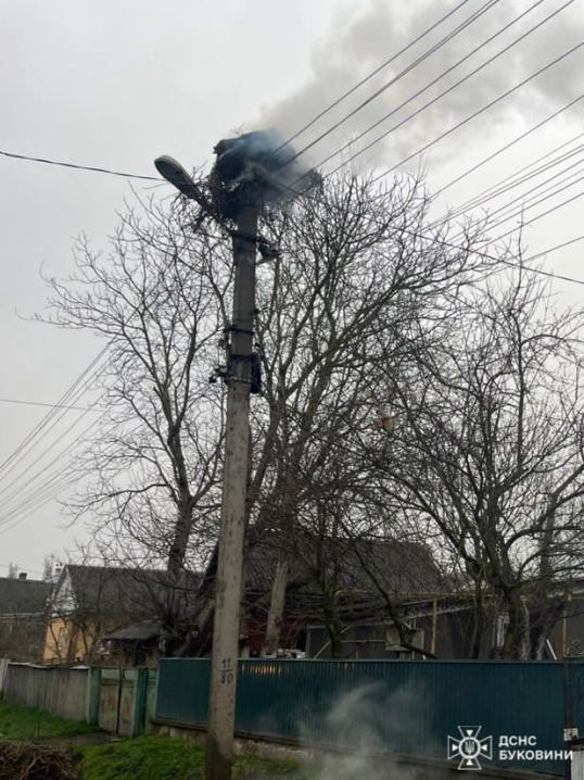 У Чернівцях через загорання електропроводів спалахнуло гніздо лелеки