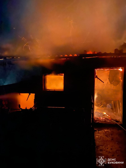 У Чернівцях через загорання електропроводів спалахнуло гніздо лелеки