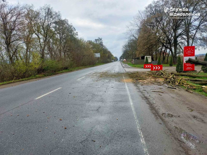 На Буковині шквальний вітер повалив дерева на дорогу Н-10 На Буковині шквальний вітер повалив дерева на дорогу Н-10