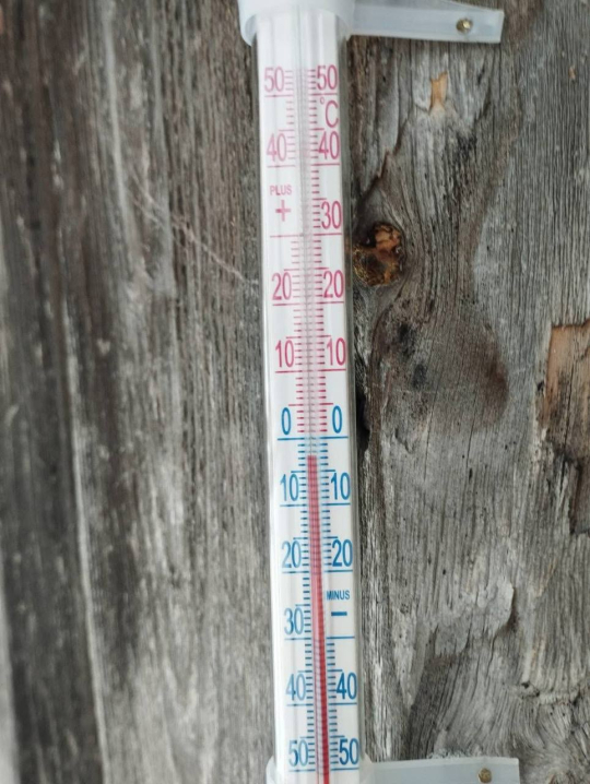 На Буковину повернулася зима. Села в горах вкрило снігом