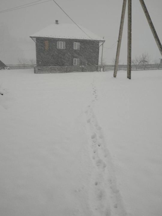 На Буковину повернулася зима. Села в горах вкрило снігом