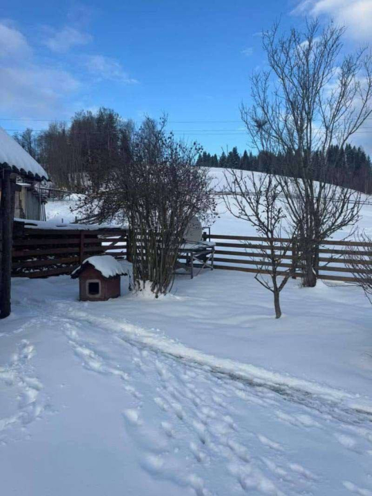 Морозний ранок на Буковині. В гірських селах зафіксували 9 градусів морозу Морозний ранок на Буковині. В гірських селах зафіксували 9 градусів морозу