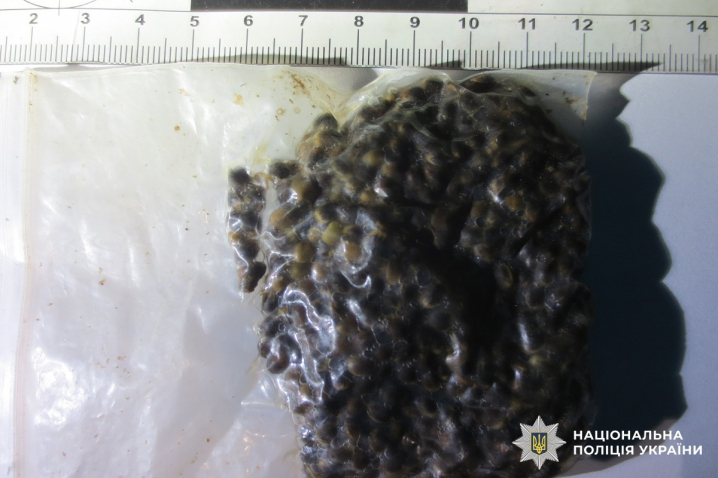 На Буковині чоловік зберігав і продавав наркотичні та психотропні речовини