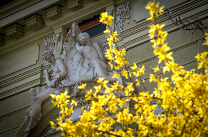 Квітневі Чернівці у об'єктиві чернівецького фотографа Квітневі Чернівці у об'єктиві чернівецького фотографа