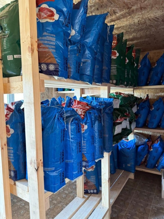 У Сторожинці запрацював пункт тимчасового утримання безпритульних тварин