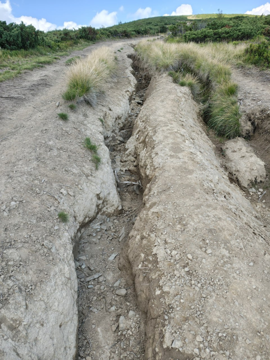 Гори не для коліс: якої шкоди завдає джипінг у Карпатах