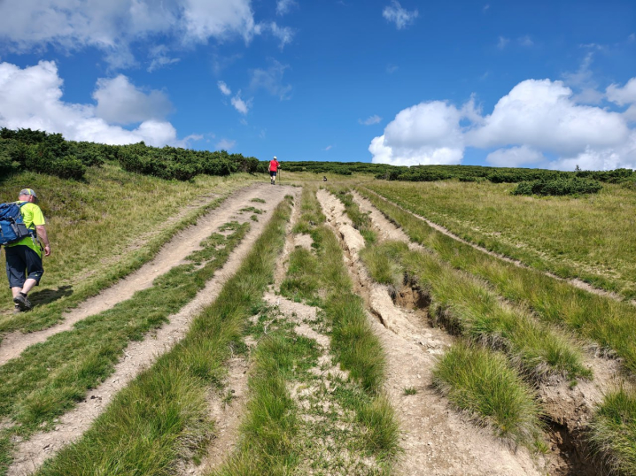 Гори не для коліс: якої шкоди завдає джипінг у Карпатах