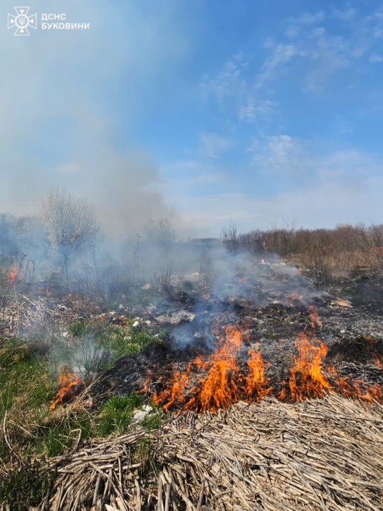 На Буковині горіли житловий будинок та суха трава На Буковині горіли житловий будинок та суха трава