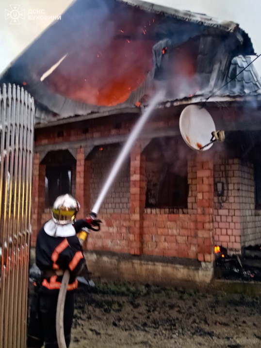 На Буковині горіли житловий будинок та суха трава На Буковині горіли житловий будинок та суха трава