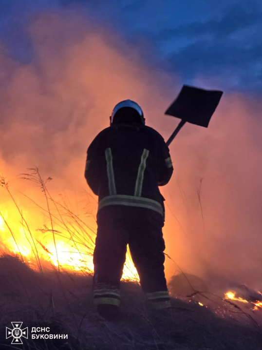 На Буковині згоріло 5 га сухої трави: людей просять не спалювати сухостій